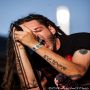 20130803_19-35-45_IMG_9407